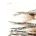 Illustration du profil de rituels