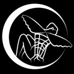 Illustration du profil de dresseurdefee