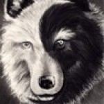 Illustration du profil de  Si louve